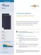 Пять Солнечных батарей Yingli Solar YGE YL330P-35b  фото 3 — GWS Energy
