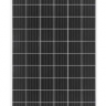 Солнечный модуль Delta BST 320-60 M  фото 1 &mdash; GWS Energy