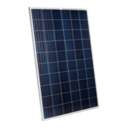 Солнечный модуль Delta SM 280-24 P   фото 1 — GWS Energy